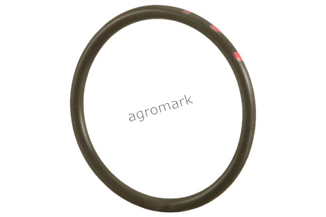 O-ring