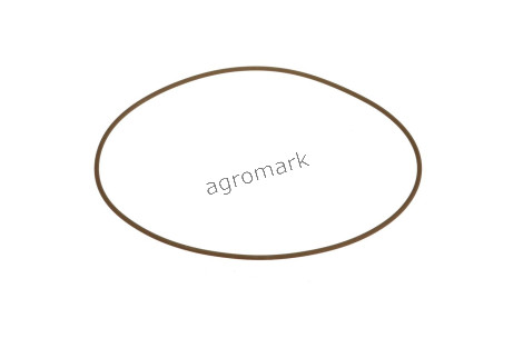 O-ring