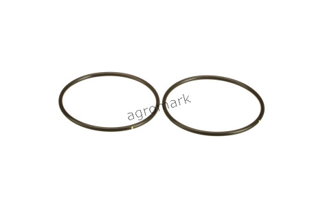 O-ring