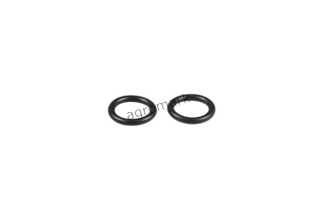 O-ring