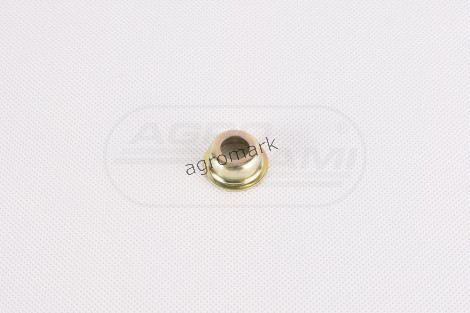 O-ring