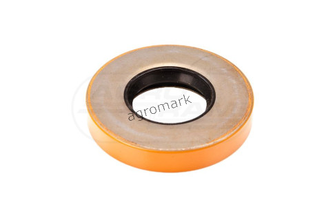 Wspornik