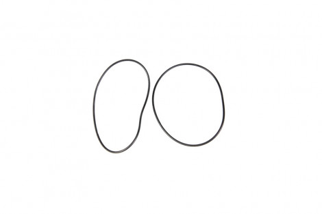 O-ring