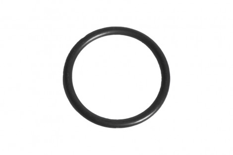 O-ring