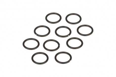 O-ring