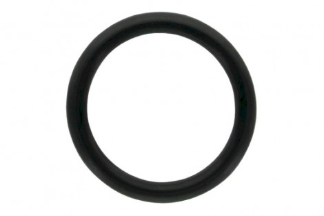 O-ring