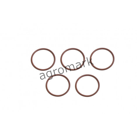 O-ring