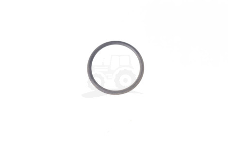 Pierścień O-ring 21,9x1,8