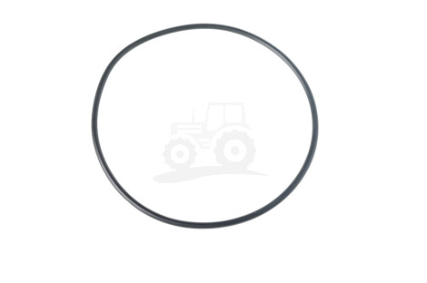 Pierścień Oring 100x3