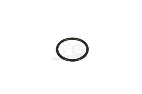 Pierścień  Oring