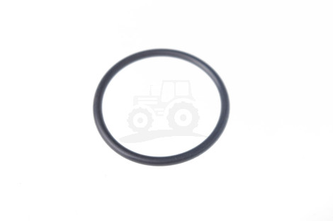 Pierścień  Oring 54510512