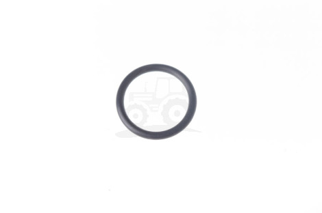 Pierścień  Oring