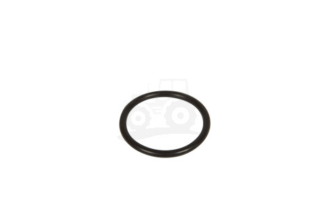 Pierścień  Oring