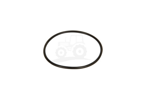 Pierścień  Oring
