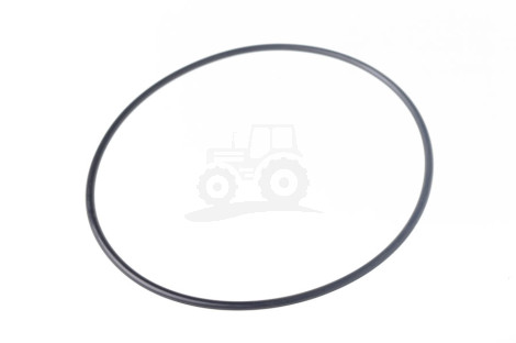 Pierścień  Oring 974530