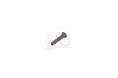 Nit stalki  PN82954