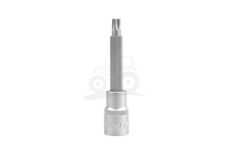 Klucz trzpieniowy TORX 1/2 T55