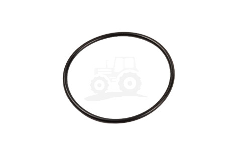 O-ring 42X2