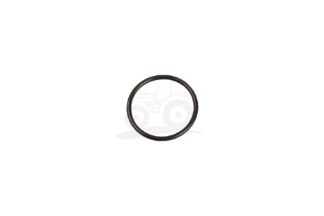 O-ring 22X1,82