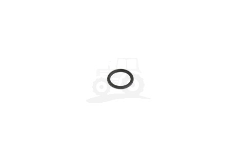 Pierścień ORING 974258