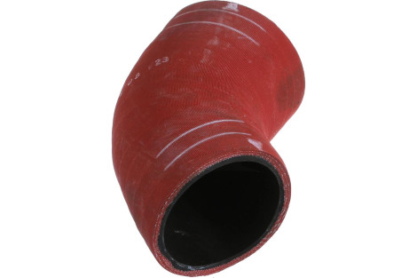 Wąż