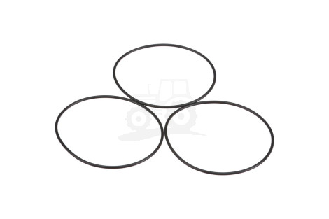 O-ring