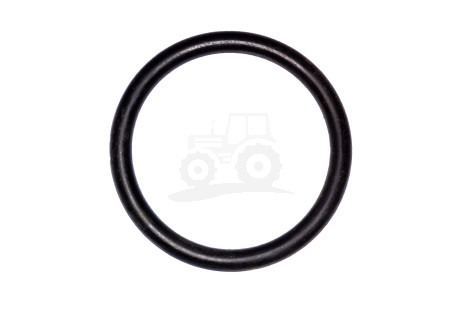 O-ring