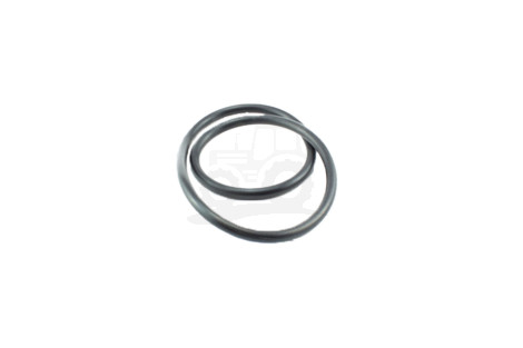 O-ring