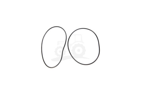 O-ring