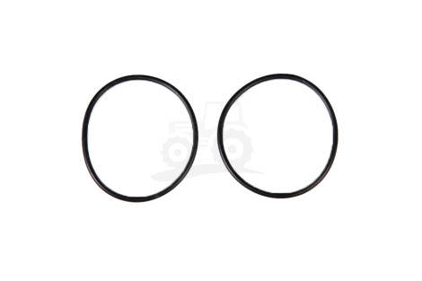 O-ring