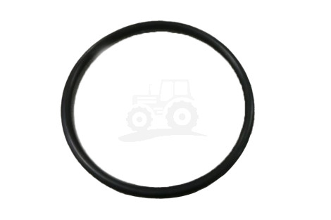O-ring