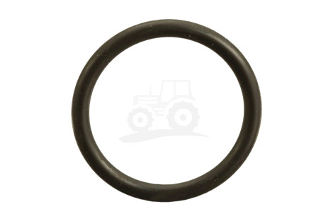O-ring