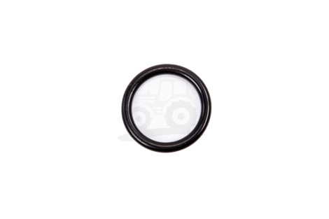 O-ring