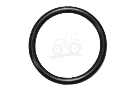 O-ring