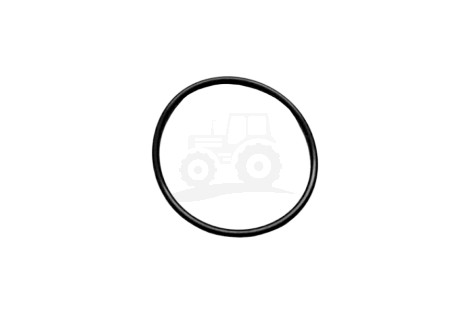 O-ring