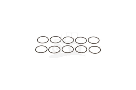 O-ring