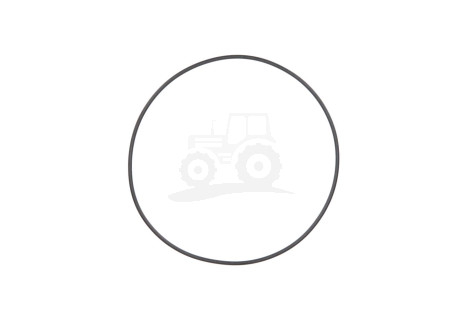 O-ring