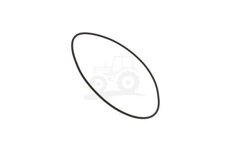 O-ring