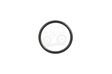 O-ring