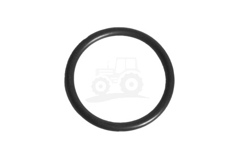 O-ring