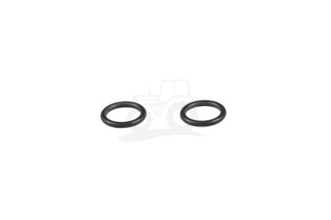 O-ring