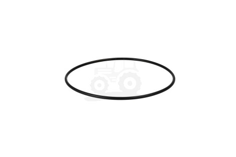 O-ring