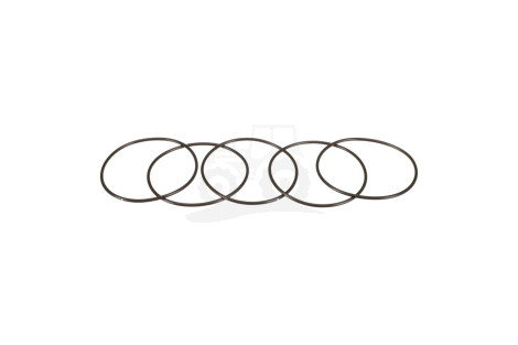 O-ring