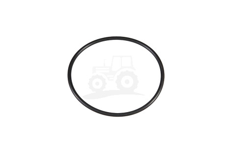 O-ring