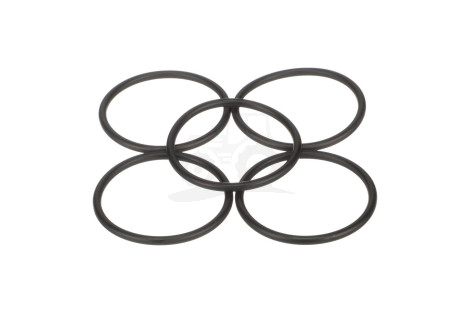 O-RING