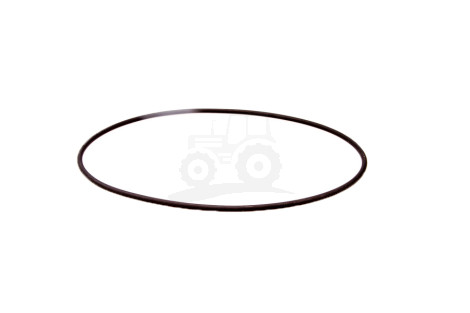 O-ring
