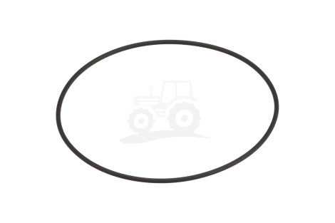 O-ring