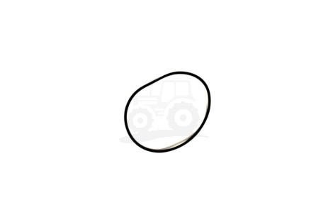 O-ring