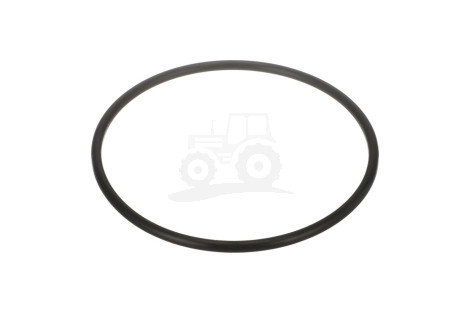 O-ring