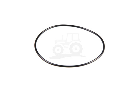 O-ring